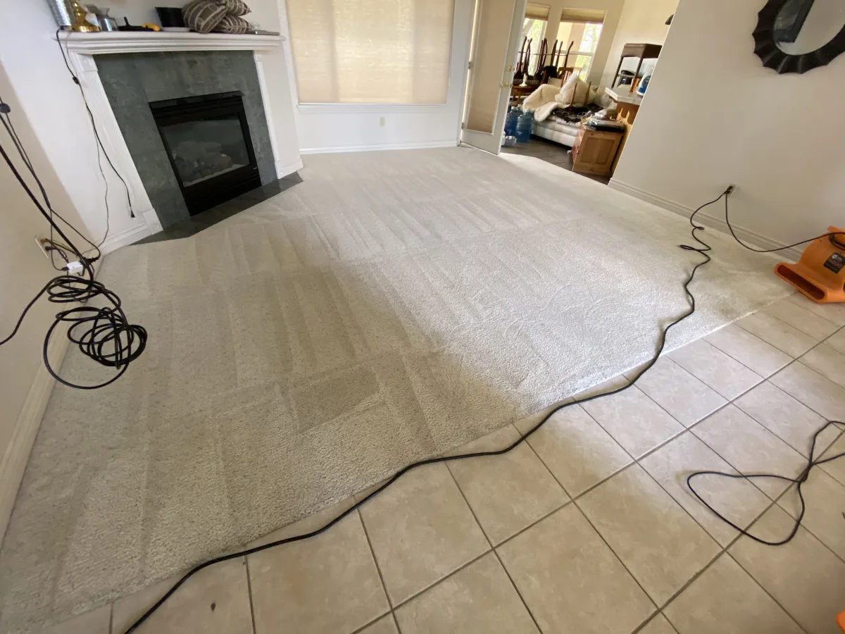 Living Room Carpet — after
