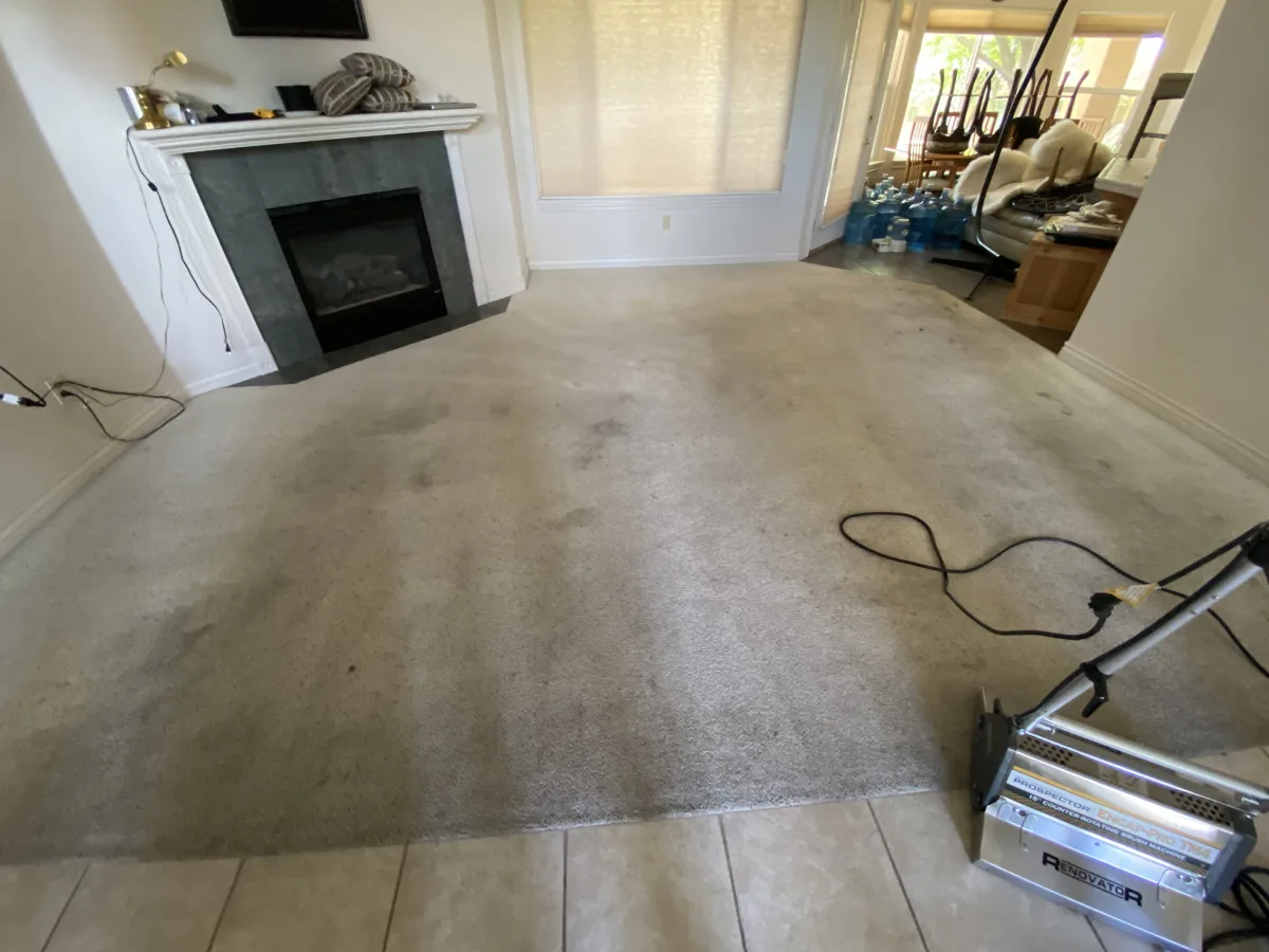 Living Room Carpet — before